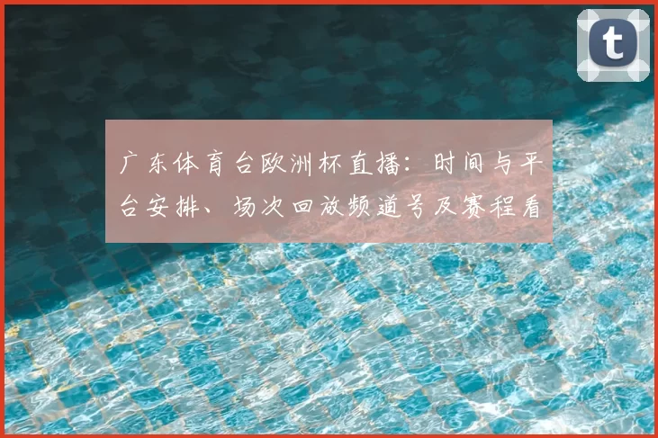 广东体育台欧洲杯直播：时间与平台安排、场次回放频道号及赛程看点