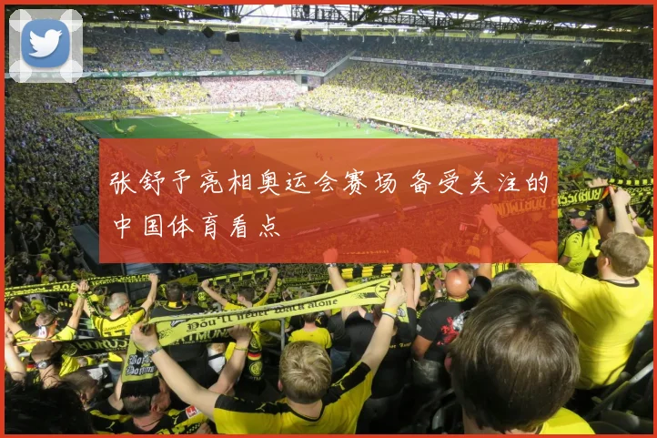 张舒予亮相奥运会赛场 备受关注的中国体育看点