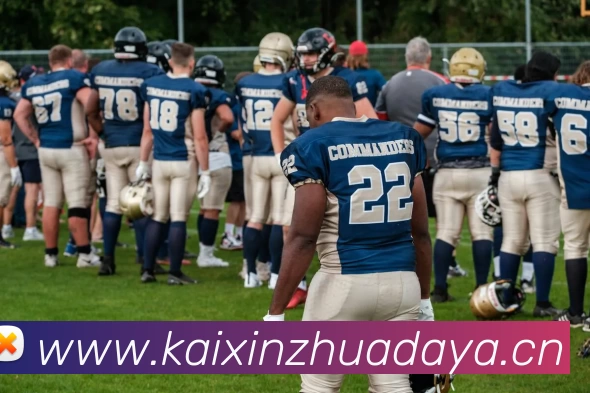 爱游戏·ayx(中国)官方网站品牌故事